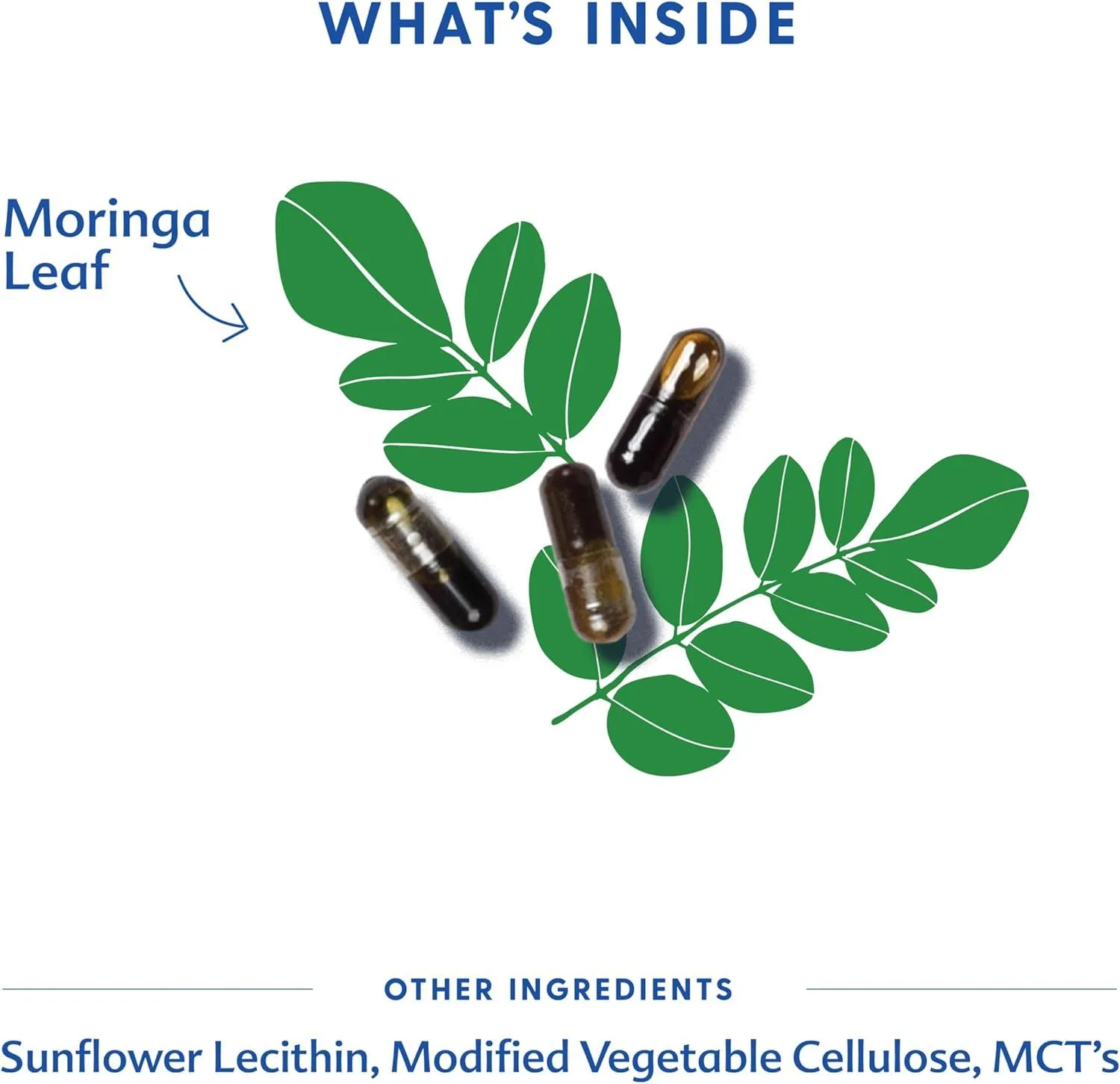 Motherlove Moringa Review: Organic Support for Breastfeeding Moms